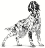 ROYAL CANIN Pill Assist Medium & Large Dog | Confezioe Doppia |2 x 225 g | Crocchette modellabili per la somministrazione di farmaci a Cani Adulti di Razza Media e Grande