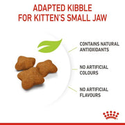 ROYAL CANIN Kitten Sterilised | Confezione Doppia | 2 x 400 g | Alimento Completo per Gatti | Specifico per Gatti sterilizzati in Crescita da 6 a 12 Mesi di et?