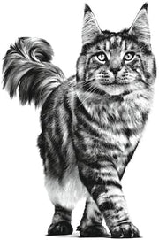 Royal Canin Gastro Intestinal Moderate Calorie