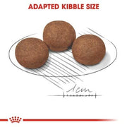 Royal Canin Crocchette per cucciolo di cane di taglia media, 4 kg