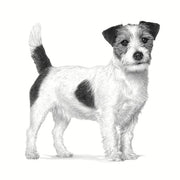 Royal Canin Veterinary Anallergenic Small Dog Mangime dietetico completo per cani di piccola taglia | Può contribuire a minimizzare il rischio di intolleranze ai nutrienti