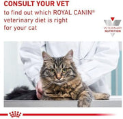 Royal Canin Veterinary Sensitivity Control | 12 x 85 g | Alimento dietetico completo per gatti adulti | Per ridurre i sintomi di intolleranza ai nutrienti | Bocconcini in salsa