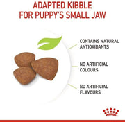 Royal Canin Cibi per Cani Puppy Mini, 800g