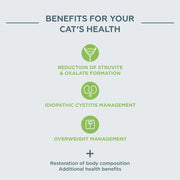 Virbac Vet HPM Diet - Gatto U2 Urology, dissoluzione e prevenzione