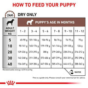 ROYAL CANIN Veterinary Gastrointestinal Puppy | 1 kg | Alimento dietetico completo per cuccioli di cane | Per sostenere la digestione | Per una crescita ottimale | Formula veterinaria