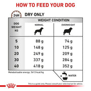 Royal Canin Vet Gastro Intestinal Moderate Calorie Dry Dog Food Poultry 2 kg