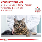 ROYAL CANIN Veterinary Sensitivity Control Cat | Confezione da 3 | 3 x 400 g | Alimento dietetico Completo per Gatti Adulti | per ridurre i sintomi di intolleranza ai nutrienti