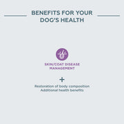 Virbac Vet HPM – Cane – D Dermatology supporto