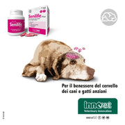 Senilife® Plus, per il Benessere del Cervello dei Cani e Gatti anziani - migliora le funzioni cognitive e la memoria per un invecchiamento cerebrale di successo