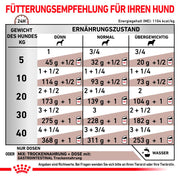 Royal Canin Veterinary Gastrointestinal Mousse | 12 x 400 g | Mangime dietetico completo per cani adulti | Per il supporto dei disturbi acuti dell'assorbimento intestinale