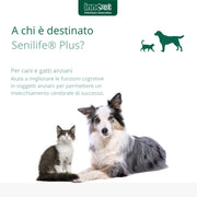 Senilife® Plus, per il Benessere del Cervello dei Cani e Gatti anziani - migliora le funzioni cognitive e la memoria per un invecchiamento cerebrale di successo