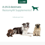 Innovet Restomyl Supplemento, Migliora l'alito. Controlla e previene la Placca e Il Tartaro dei Cani - Flacone da 60g