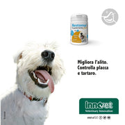 Innovet Restomyl Supplemento, Migliora l'alito. Controlla e previene la Placca e Il Tartaro dei Cani - Flacone da 60g