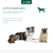 CONDROSTRESS 90 COMPRESSE PER CANI PROTEGGE LE ARTICOLAZIONI