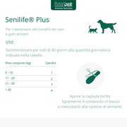 Senilife® Plus, per il Benessere del Cervello dei Cani e Gatti anziani - migliora le funzioni cognitive e la memoria per un invecchiamento cerebrale di successo