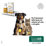 Innovet Urys - per Il Benessere delle Basse Vie Urinarie nel Cane e nel Gatto