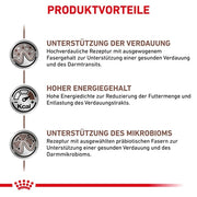 Royal Canin Veterinary Gastrointestinal Mousse | 12 x 400 g | Mangime dietetico completo per cani adulti | Per il supporto dei disturbi acuti dell'assorbimento intestinale.