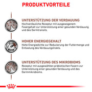 Royal Canin Veterinary Gastrointestinal Mousse | 12 x 400 g | Mangime dietetico completo per cani adulti | Per il supporto dei disturbi acuti dell'assorbimento intestinale