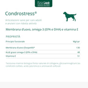 Innovet Condrostress (+), per Cani Adulti e Anziani con rigidità articolare, neutralizza i Radicali Liberi