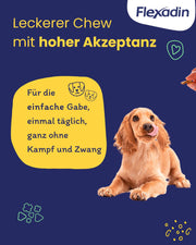 Flexadin? Young Dog Maxi, per articolazioni sane di cani da ragazzo a partire da 10 kg, con glucosamina, condroitina, omega-3, artiglio del diavolo ? 60 colli per articolazioni