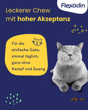 Flexadin? Cat | Per la salute delle articolazioni dei gatti | con glucosamina, condroitina, omega-3 & artiglio del diavolo ? 60 colli articolari