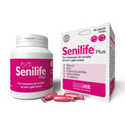 Senilife® Plus, per il Benessere del Cervello dei Cani e Gatti anziani - migliora le funzioni cognitive e la memoria per un invecchiamento cerebrale di successo