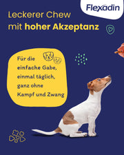 Flexadin ? Young Dog Mini| Per articolazioni sane di cani da ragazzo fino a 10 kg | con glucosamina, condroitina, omega-3 & artiglio del diavolo ? 60 colli per articolazioni