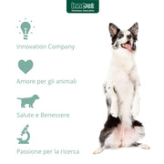 Innovet Condrogen Energy, Salute articolare, libertà di Movimento per Cani, Nutre la Cartilagine Articolare e Ottimizza la Funzione dei Tessuti Molli, Migliora la Stabilità delle Articolazioni