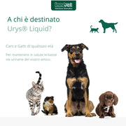 Innovet Urys - per Il Benessere delle Basse Vie Urinarie nel Cane e nel Gatto