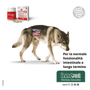 Innovet Normalia Extra 30 Compresse Masticabili, per la Normale funzionalit? dell'intestino a Lungo Termine. per Cani