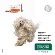 Innovet NUTRITIONAL_SUPPLEMENT