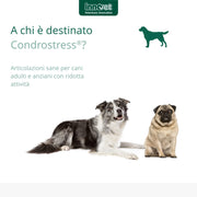 CONDROSTRESS 90 COMPRESSE PER CANI PROTEGGE LE ARTICOLAZIONI