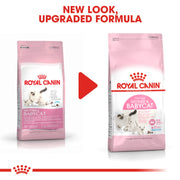 Royal Canin Mother and Babycat Gatte In Gestazione o Lattazione e Gattini da 1 a 4 Mesi di Et?