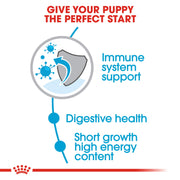Royal Canin Medium Puppy Alimento Cane - 4000 gr