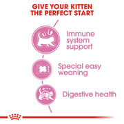 Royal Canin Mother and Babycat Gatte In Gestazione o Lattazione e Gattini da 1 a 4 Mesi di Et?