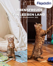 Flexadin? Cat | Per la salute delle articolazioni dei gatti | con glucosamina, condroitina, omega-3 & artiglio del diavolo ? 60 colli articolari
