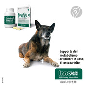 CONDROSTRESS 90 COMPRESSE PER CANI PROTEGGE LE ARTICOLAZIONI