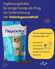 Flexadin? Young Dog Maxi, per articolazioni sane di cani da ragazzo a partire da 10 kg, con glucosamina, condroitina, omega-3, artiglio del diavolo ? 60 colli per articolazioni