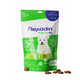 Flexadin ? Young Dog Mini| Per articolazioni sane di cani da ragazzo fino a 10 kg | con glucosamina, condroitina, omega-3 & artiglio del diavolo ? 60 colli per articolazioni