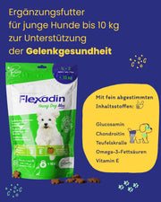 Flexadin ? Young Dog Mini| Per articolazioni sane di cani da ragazzo fino a 10 kg | con glucosamina, condroitina, omega-3 & artiglio del diavolo ? 60 colli per articolazioni