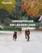 Flexadin ? Young Dog Mini| Per articolazioni sane di cani da ragazzo fino a 10 kg | con glucosamina, condroitina, omega-3 & artiglio del diavolo ? 60 colli per articolazioni