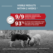 Virbac Vet HPM – Cane – D Dermatology supporto