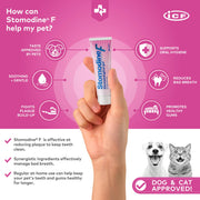 ICF | Stomodine F | Dentifricio per cani e gatti | Sapore di carne | Combatte la placca e l'alitosi | Sana igiene orale dentale | Detergente per denti per animali domestici facile da usare