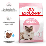 Royal Canin Mother and Babycat Gatte In Gestazione o Lattazione e Gattini da 1 a 4 Mesi di Et?