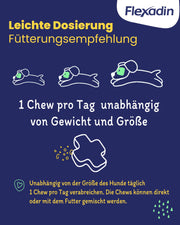 Flexadin? Adult Dog| Per articolazioni sane di cani adulti|con collagene non denaturato di tipo II (UC-II?) - 60 collagene articolare