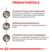 Royal Canin Veterinary Gatrointestinal Moderate Calorie | Confezione Doppia | 2 x 12 x 85 g | Alimento dietetico completo per gatti | Per alleviare i disturbi acuti dell'assorbimento intestinale