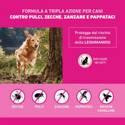 Frontline TriAct, Pipette, Cane, Antiparassitario per Cani e Cuccioli di Lunga Durata, Protegge il Cane da Pulci, zecche, Zanzare, Pappataci e Leishmaniosi, Antipulci