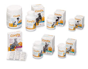 Candioli PA3148 Confis Gatti, Multicolore, 45 CPS