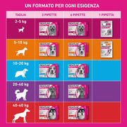 Frontline TriAct, Pipette, Cane, Antiparassitario per Cani e Cuccioli di Lunga Durata, Protegge il Cane da Pulci, zecche, Zanzare, Pappataci e Leishmaniosi, Antipulci