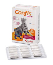 Candioli PA3148 Confis Gatti, Multicolore, 45 CPS